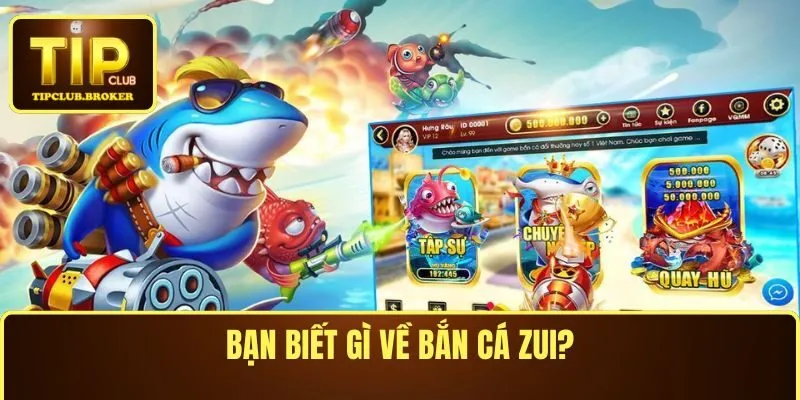 Bạn biết gì về bắn cá Zui?