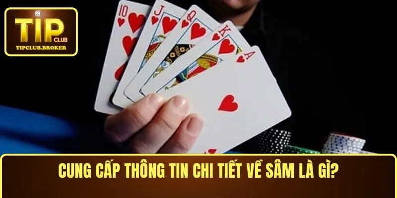 Cung cấp thông tin chi tiết về sâm là gì?