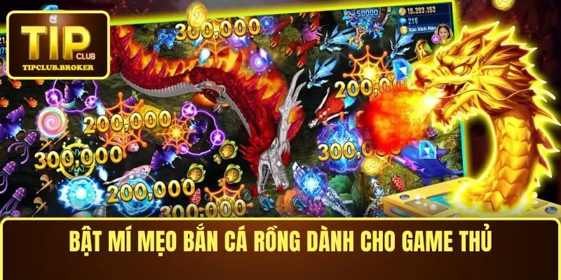 Bật mí mẹo bắn cá Rồng dành cho game thủ