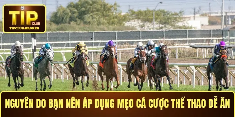 Nguyên do bạn nên áp dụng mẹo cá cược thể thao dễ ăn