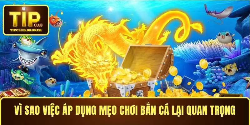 Vì sao việc áp dụng mẹo chơi bắn cá ăn tiền lại quan trọng