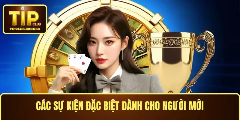 List khuyến mãi thành viên mới cực hot 2025