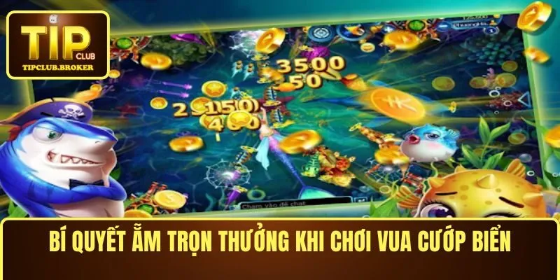 Bí quyết ẵm trọn thưởng khi chơi Vua Cướp Biển